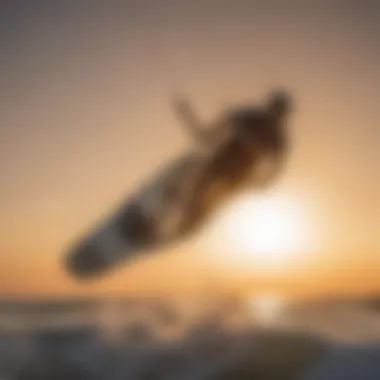 Kitesurfer catching air with a massive jump against a picturesque sunset backdrop