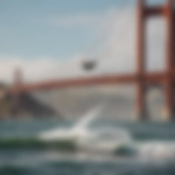 Colorful kitesurfing equipment against the backdrop of the Golden Gate Bridge