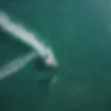 Aerial view of kitesurfers in turquoise waters