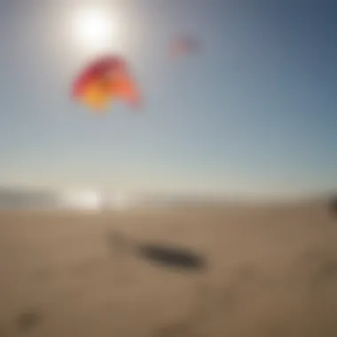 Variety of Ozone kites displayed on the beach