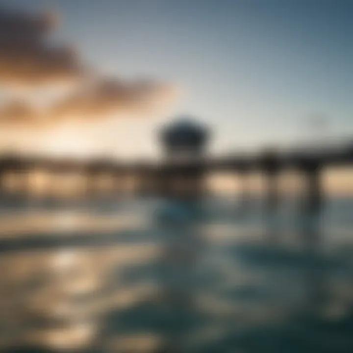 Vibrant Marine Life Surrounding Clearwater Pier