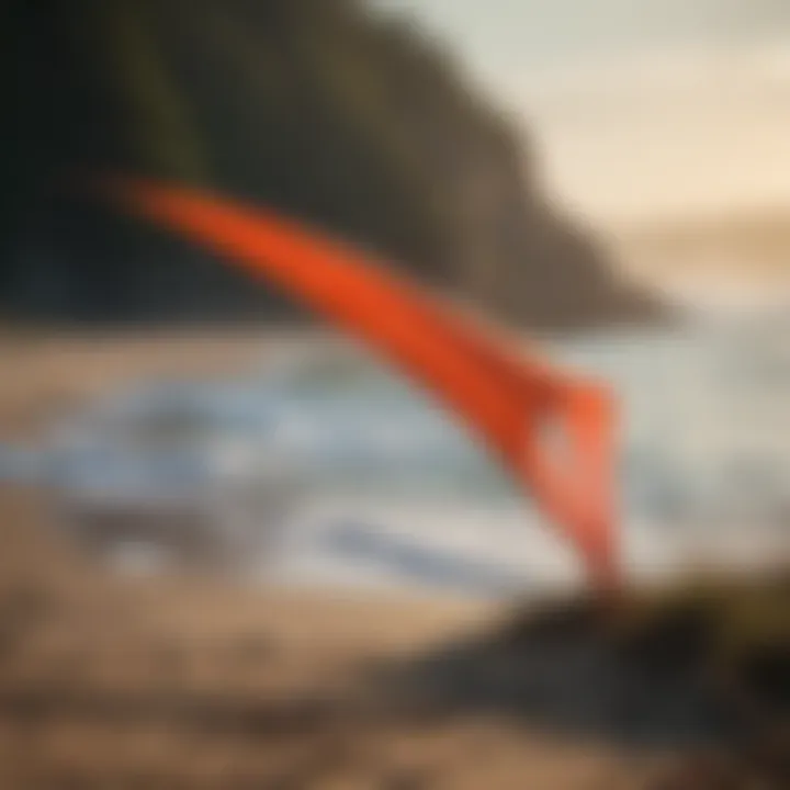 Windsock blowing in the breeze at Jarrell Cove State Park