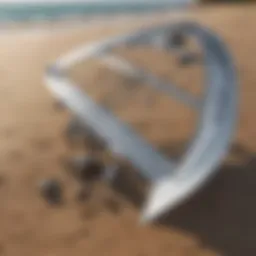 Wing foil equipment laid out on beach