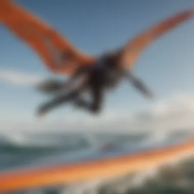 Close-up of high-quality wing surfer materials